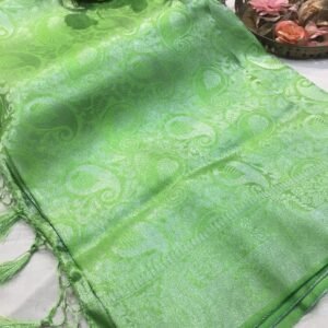 Green Colour Banarasi soft silk saree with silver zari jacquard design.